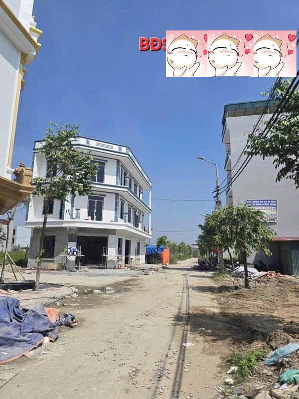 Đất nền chính chủ tại phường Quang Châu, 144m² giá rẻ - Cơ hội đầu tư hiếm có!