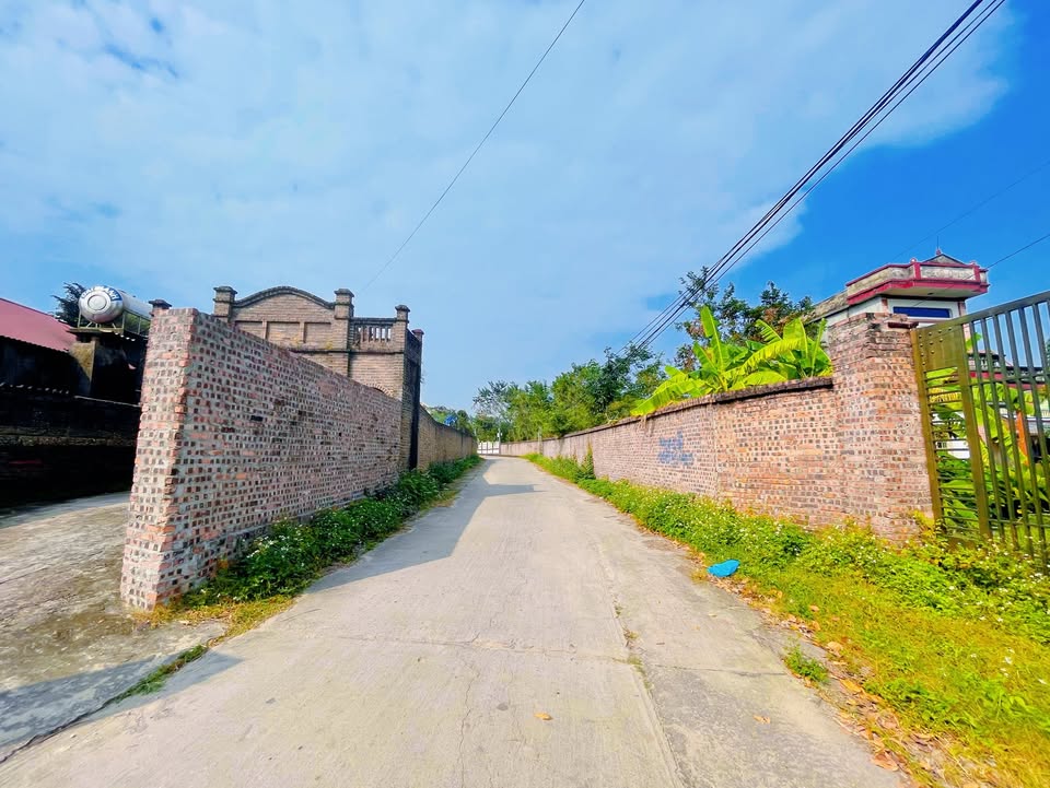 Đất nền thôn Phúc Thắng, Hiệp Hòa 142m² giá chỉ 800 triệu - Cơ hội đầu tư hiếm có!