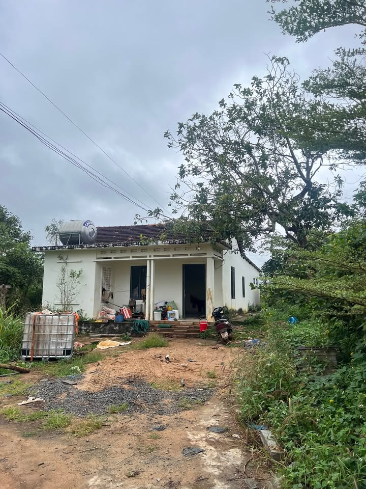 Lô rẫy 1ha3 tại thôn 5, xã Ea Khal - Giá chỉ 2.7 tỷ, điện nước đầy đủ!