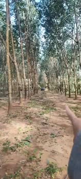 Đất cao su 6000m² tại Ea Khal, Đắk Lắk chỉ 700 triệu - Sổ đỏ chính chủ!