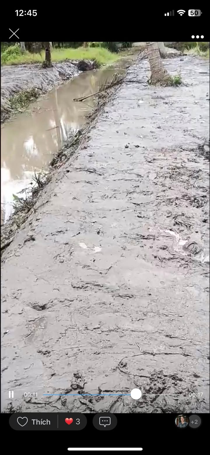 Đất thổ cư 100m² tại Phong Mỹ, Giồng Trôm, Bến Tre - Giá chỉ 490 triệu!