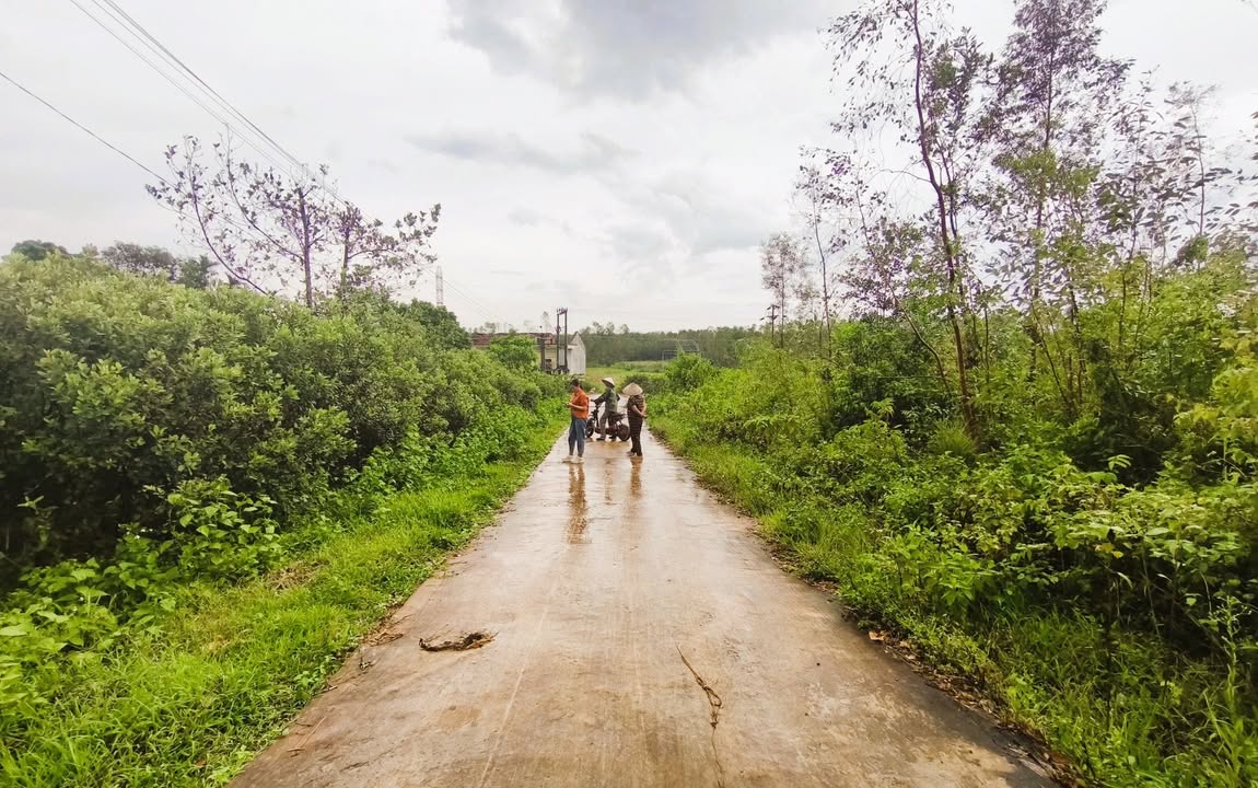 Đất thổ cư 500m² tại xóm 1, thôn Việt Yên, Thạch Xuân - Giá chỉ 1,5 tỷ!