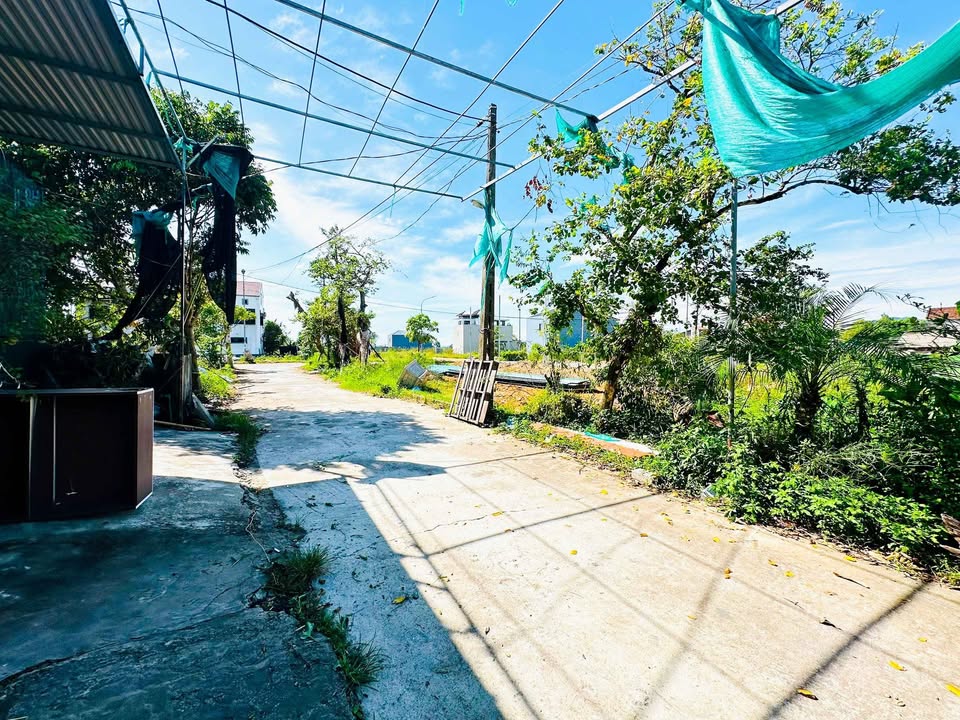 Đất nền Thạch Đài, Thạch Hà 87.9m² giá 1.8 tỷ - Đầu tư sinh lời ngay!