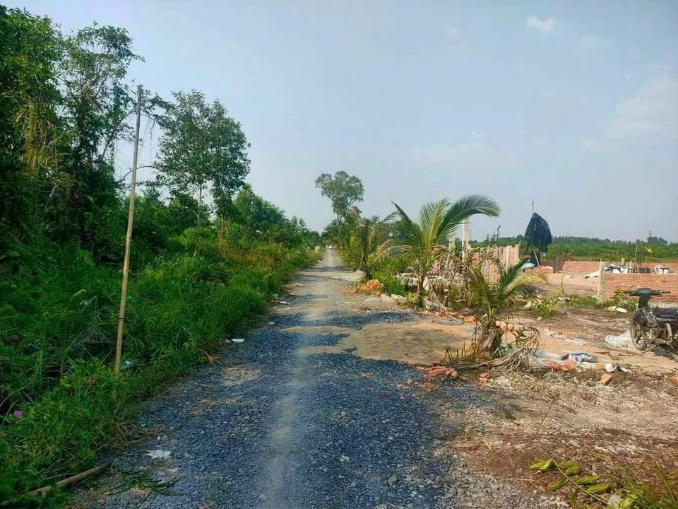 Đất vườn ấp 6 xã Bình Đức 1000m² giá 499 triệu - Đầu tư sinh lời cao!