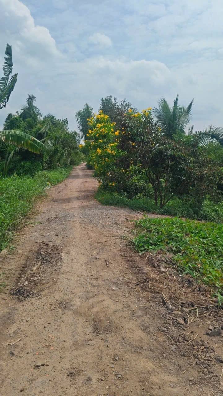 Đất vườn Ấp 3 Tân Thành 1000m² giá 580 triệu - Đầu tư sinh lời ngay!