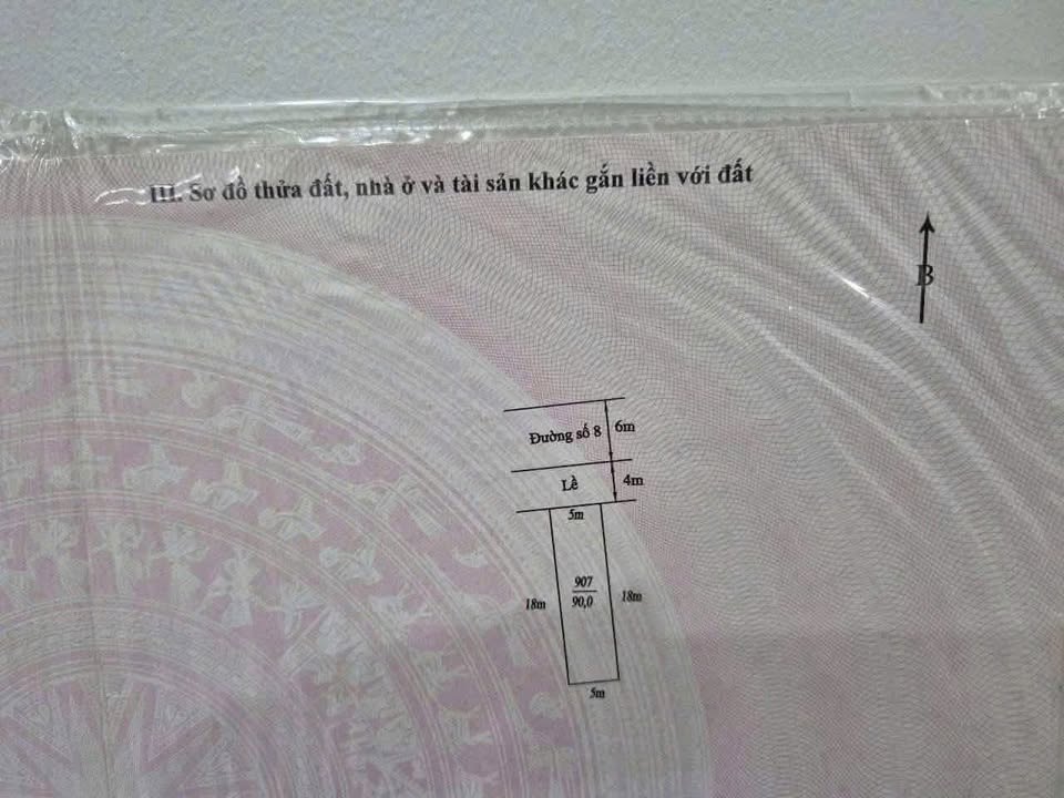 Đất nền KDC Phát Hải, Cần Giuộc 90m² giá 1.9 tỷ - Đầu tư sinh lời ngay!