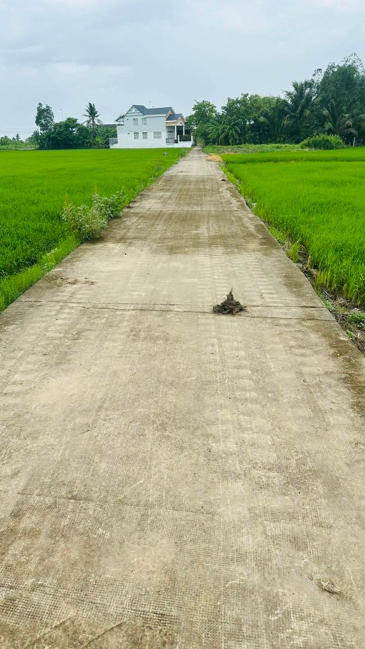 Đất nền 2200m² tại Khánh Hậu, Tân An - Giá chỉ 2.75 tỷ, sổ hồng chính chủ!