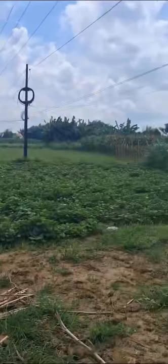 Đất nền BHK Tịnh An Hoàng Sa Dốc Sỏi 333m² giá 499 triệu - Lô góc vị trí đắc địa!