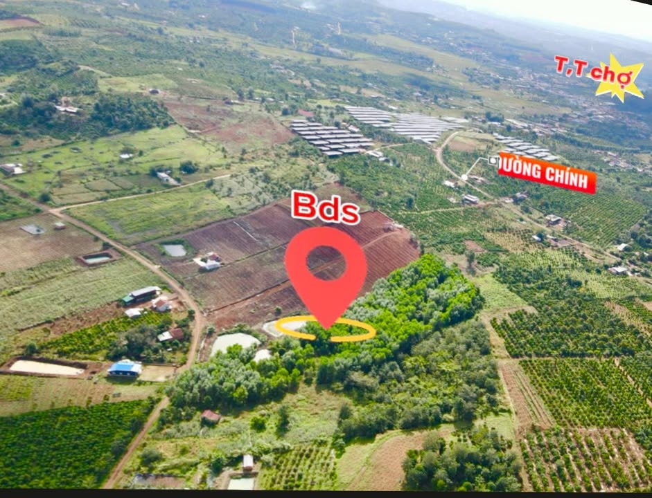 Đất nền 1ha Đắk N'Drót 30m mặt đường - Đầu tư sinh lời tốt!