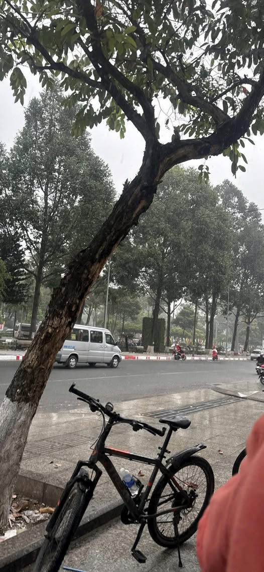 Mặt tiền Phạm Văn Thuận, Biên Hòa 85m² giá 9 tỷ - Nhà đẹp, đầu tư sinh lời!