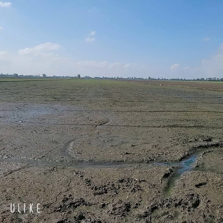 Đất ruộng 350.000m² tại Vĩnh Phú, Giang Thành - Giá 115 triệu, cơ hội đầu tư hấp dẫn!