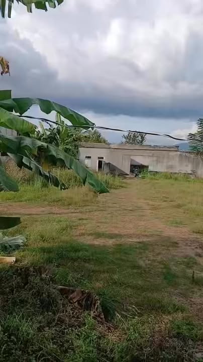 Đất thổ cư đường Quang Trung, Đắk Hà 270m² giá 800 triệu - Cơ hội đầu tư tuyệt vời!