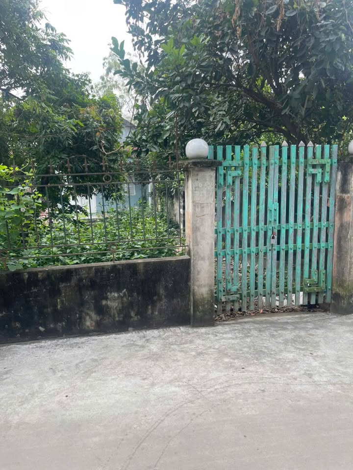 Đất thổ cư Đào Dương, Ân Thi 150m² giá thỏa thuận - Sổ đỏ chính chủ