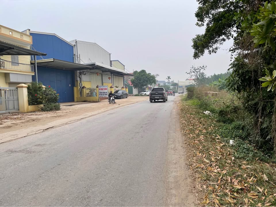 Đất mặt đường tỉnh lộ 382, xã Việt Cường, 151m² giá chỉ 5 tỷ - Cơ hội đầu tư hấp dẫn!