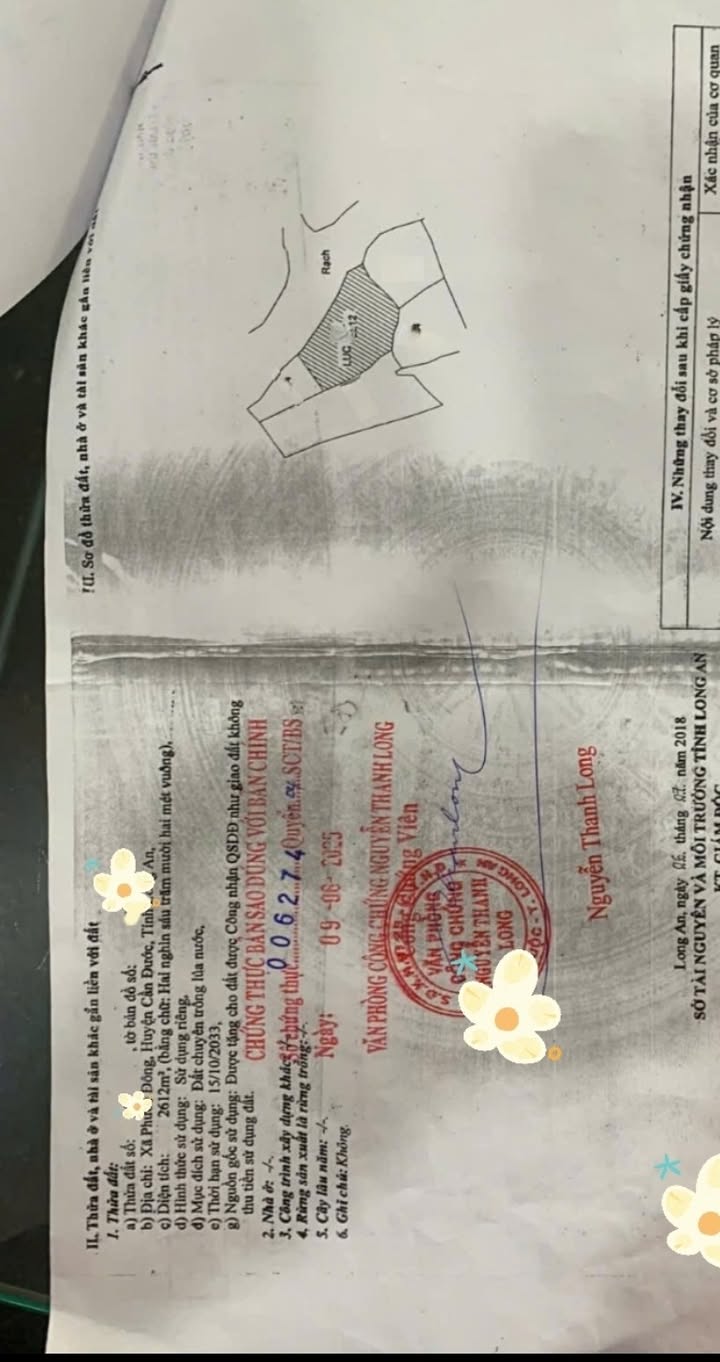 Đất nền Phước Đông, Cần Đước, Long An 2612m² giá 300 triệu - Cơ hội đầu tư hấp dẫn!