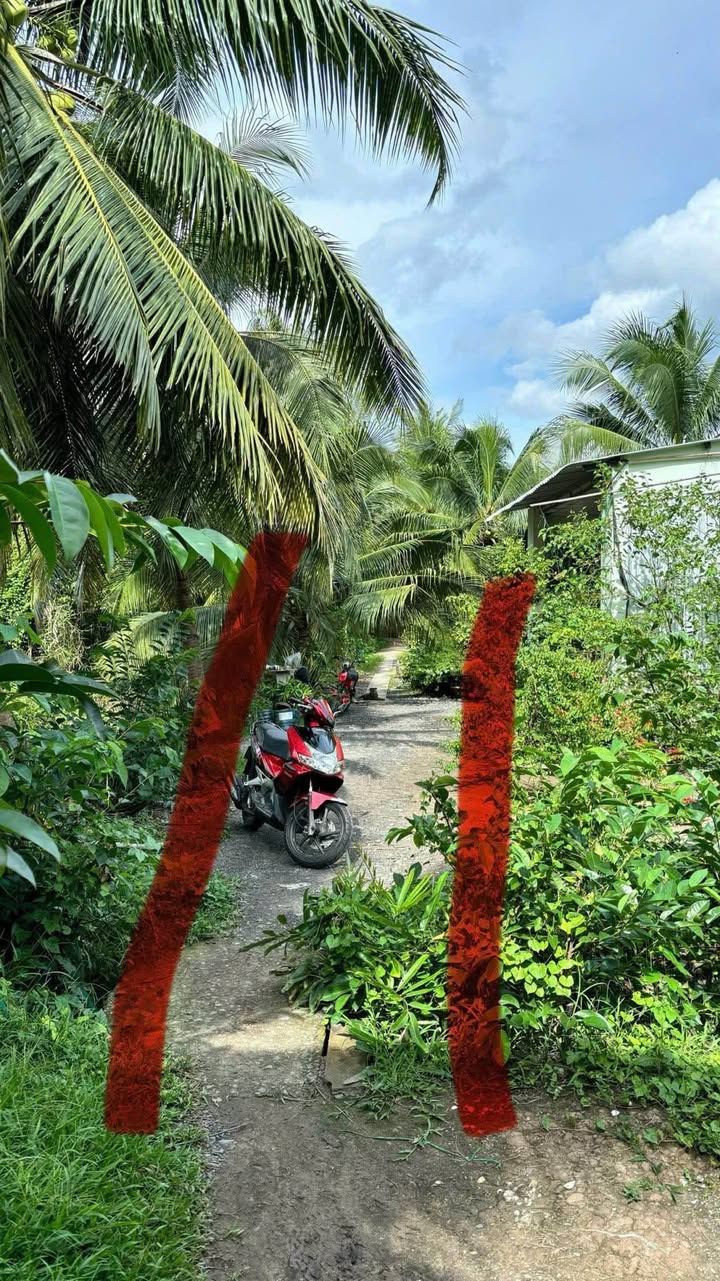 Đất vườn Phú An Hòa Châu Thành 800m² giá 750 triệu - Cơ hội đầu tư tuyệt vời!