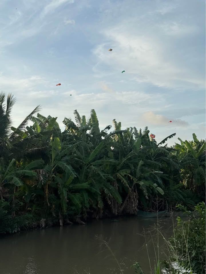 Đất mặt tiền Nguyễn Thiện Thành, Trà Vinh 9600m² giá chỉ 2.88 tỷ - Đầu tư sinh lời bền vững!