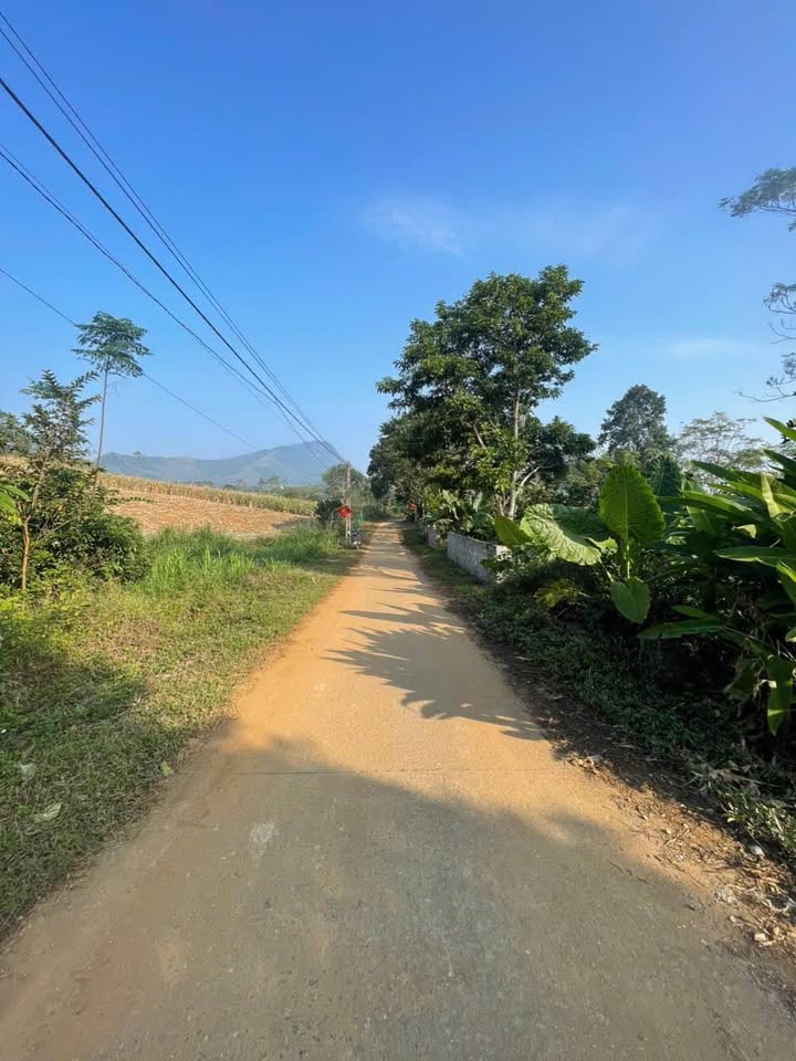 Đất vườn Tú Lý Đà Bắc 1000m² giá 600 triệu - Cơ hội đầu tư tuyệt vời!