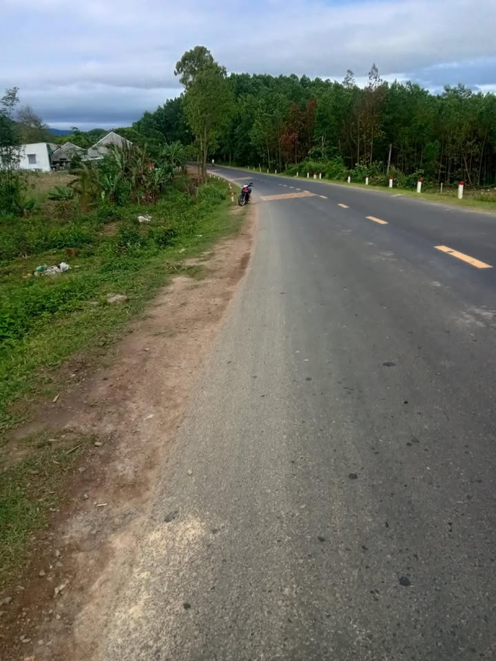 Đất mặt tiền QL19, Tân Thành, Sơn Hòa 1700m² giá 270 triệu - Cơ hội đầu tư hấp dẫn!