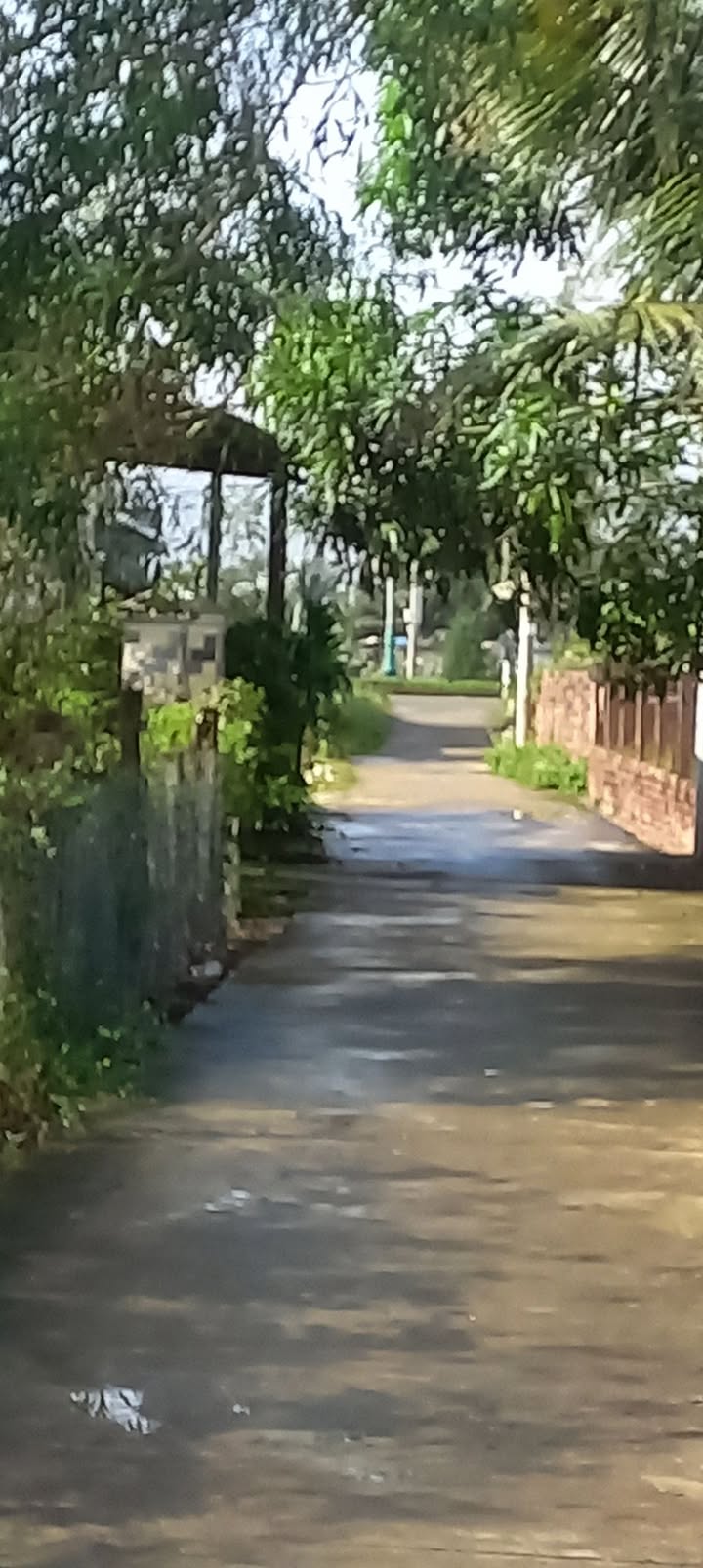 Đất nền Hòa Hiệp Đông Hòa 186m² - Gần bãi tắm chỉ 1km, giá thỏa thuận!