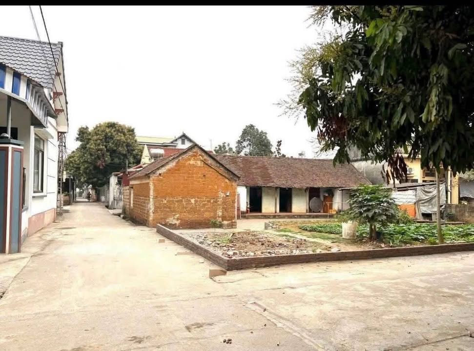 Đất nền lô góc 2 mặt tiền Đông Yên, Quốc Oai 188,9m² chỉ 2x triệu/m² - Cơ hội đầu tư tuyệt vời!