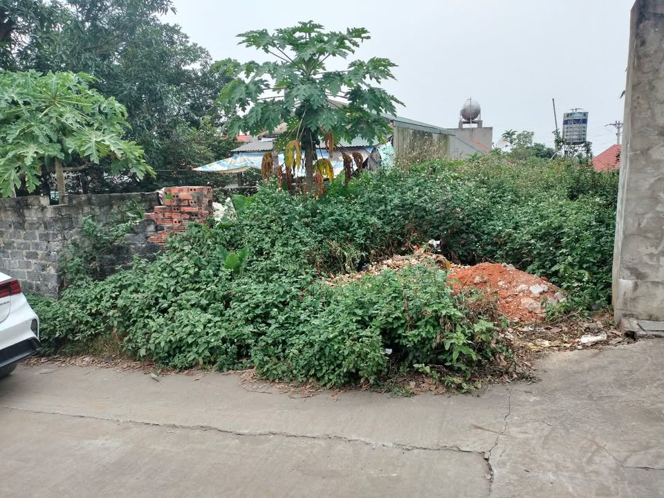 Đất nền Uông Bí 99,6m² giá chỉ 13 triệu/m² - Đầu tư sinh lời tốt!