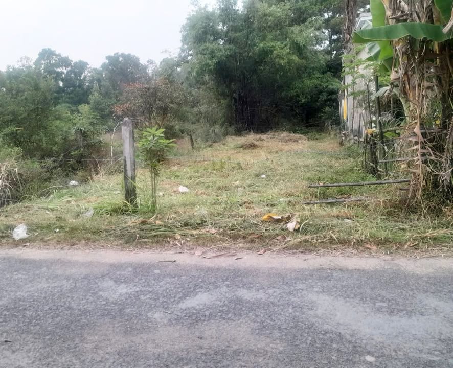 Đất nền Cây Xoài, Ngũ Lạc, Duyên Hải 224m² giá 520 triệu - Cơ hội đầu tư tuyệt vời!