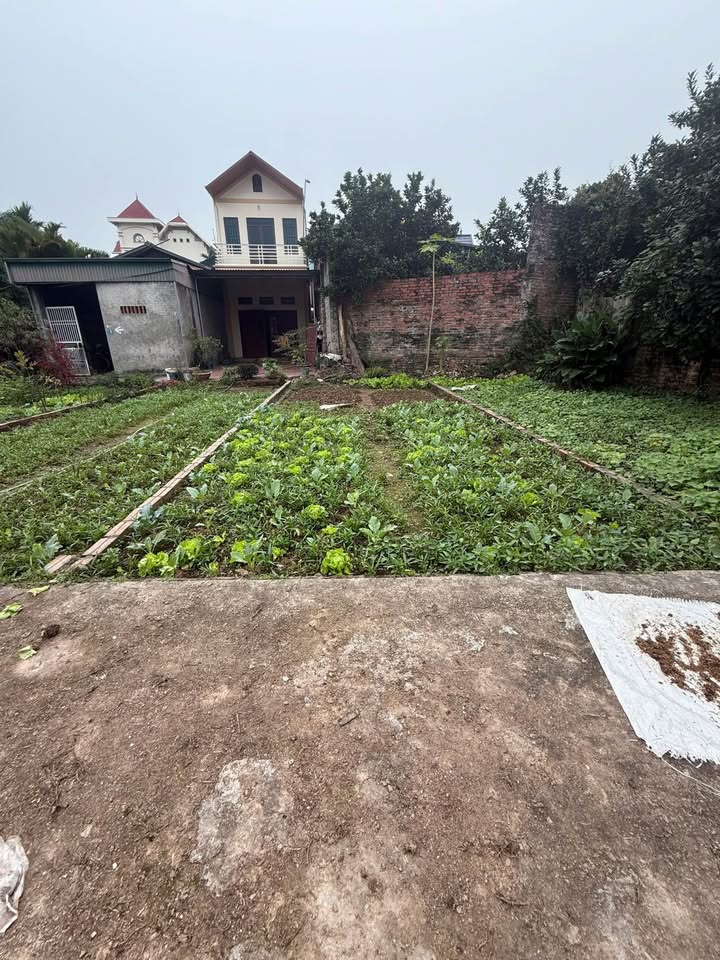 Đất nền Phúc Thọ 44m² giá từ 1.76 tỷ - Đầu tư sinh lời ngay hôm nay!