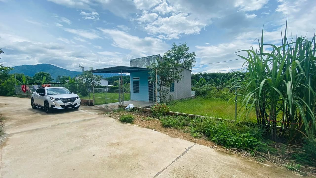 Farm Diên Đồng 1.250m² giá 2.6 tỷ - Cơ hội đầu tư tuyệt vời!