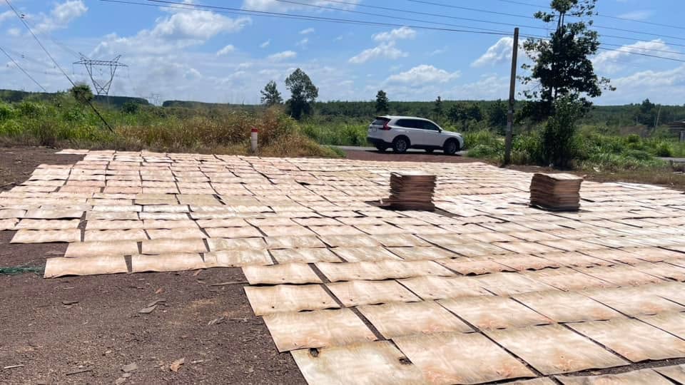 Đất 1,2ha Tiến Hưng, Đồng Xoài - Vị trí đắc địa, giá thỏa thuận!