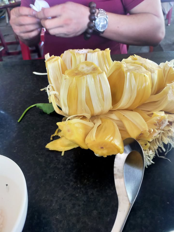 Đất nền liền kề KP 5 Minh Thành, Chơn Thành 500m² giá chỉ 500 triệu - Đầu tư sinh lời!