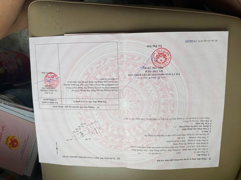 Đất nền Đông Phú, Đông Sơn, Thanh Hóa 126m² giá 1.1 tỷ - Sổ đỏ chính chủ