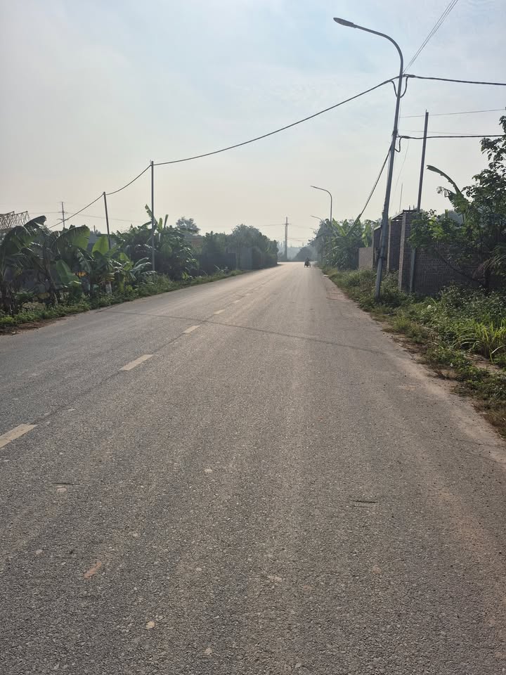 Đất vườn 200m² tại Song Phương, Hoài Đức - Giá đầu tư hợp lý!