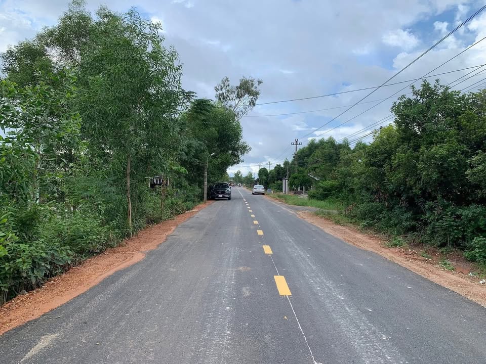 Đất mặt tiền Tỉnh Lộ 10, Phú Vang 155m² giá 800 triệu - Đầu tư sinh lợi ngay!