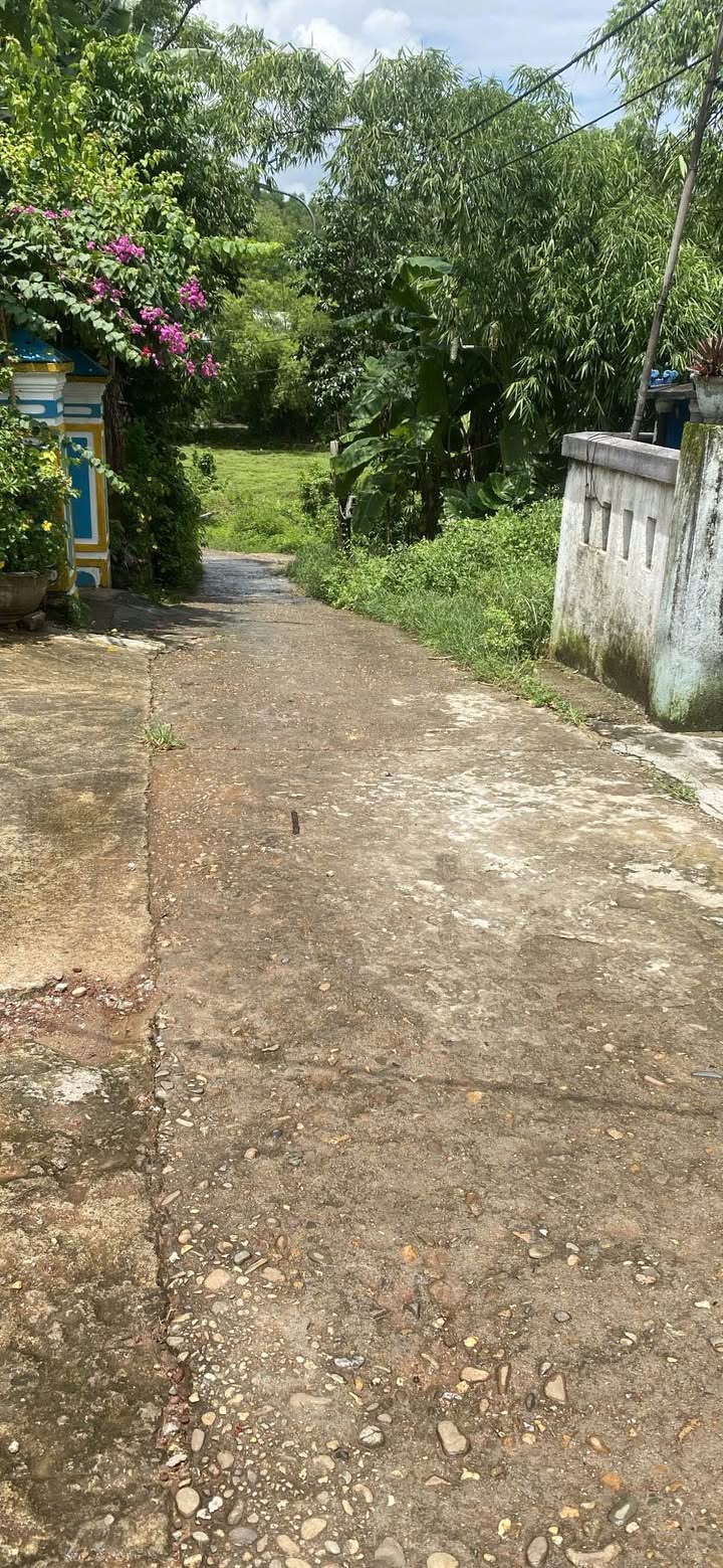 Đất ở Kiệt 80 Minh Mạng Huế 150m² giá 1.8 tỷ - Đầu tư sinh lời ngay!