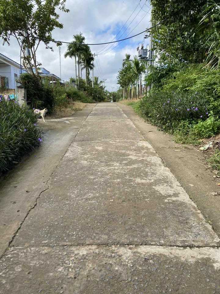 Đất nền Nam Hải, xã Nam Đà, 484m² giá 450 triệu - Sổ đỏ chính chủ, bớt lộc!