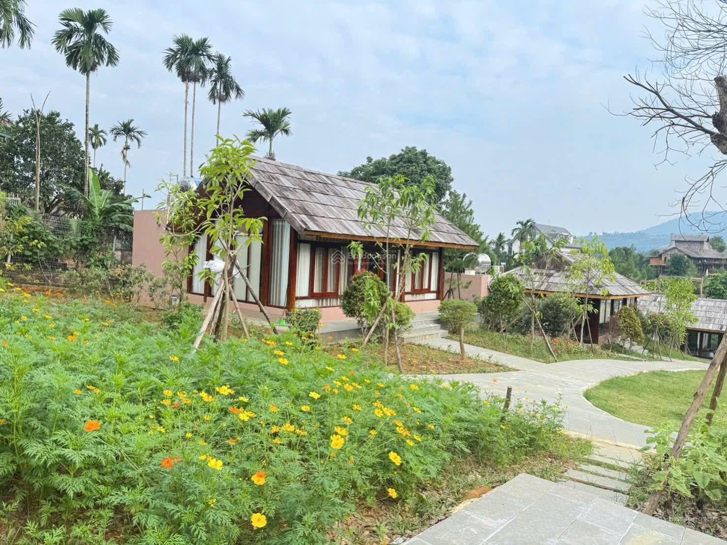 Đất thổ cư 150m², 560m² tại Phú Mãn, Quốc Oai - View tuyệt đẹp như Đà Lạt!