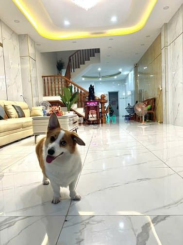 Nhà đẹp mới xây 5x20m MT 14m khu Ao Sen, Bình Trị Đông B, Bình Tân - Cách Aeon Mall 200m, chỉ 15.5 tỷ!