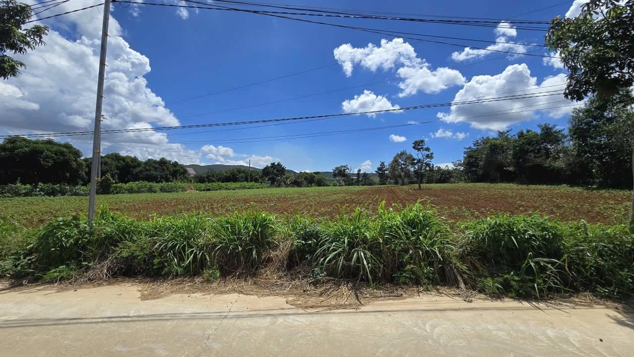 Đất ở Cam Ly Đà Lạt 1000m² giá 6 tỷ - View đẹp, đường ô tô thông thoáng!