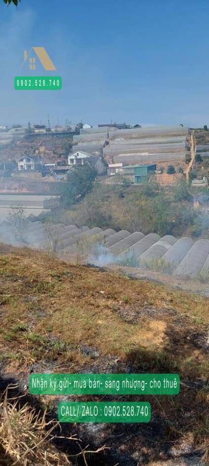 Bán đất mặt tiền đường nhựa Xuân Thành 500m² giá 5.5 tỷ - Đầu tư sinh lời ngay!