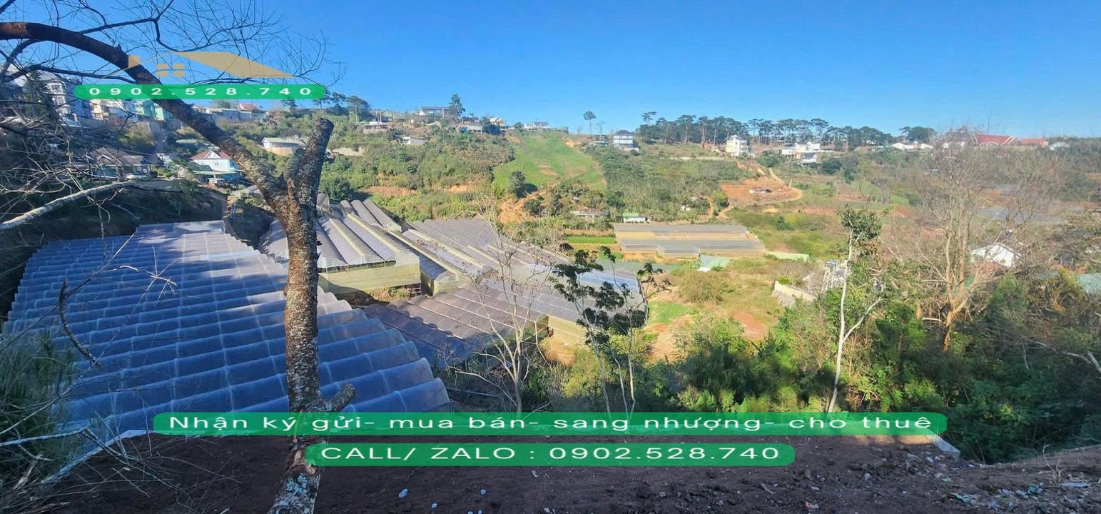 Đất Mặt Đường Nhựa Xuân Trường Đà Lạt 473m² giá 7.5 tỷ - View đẹp vĩnh viễn!