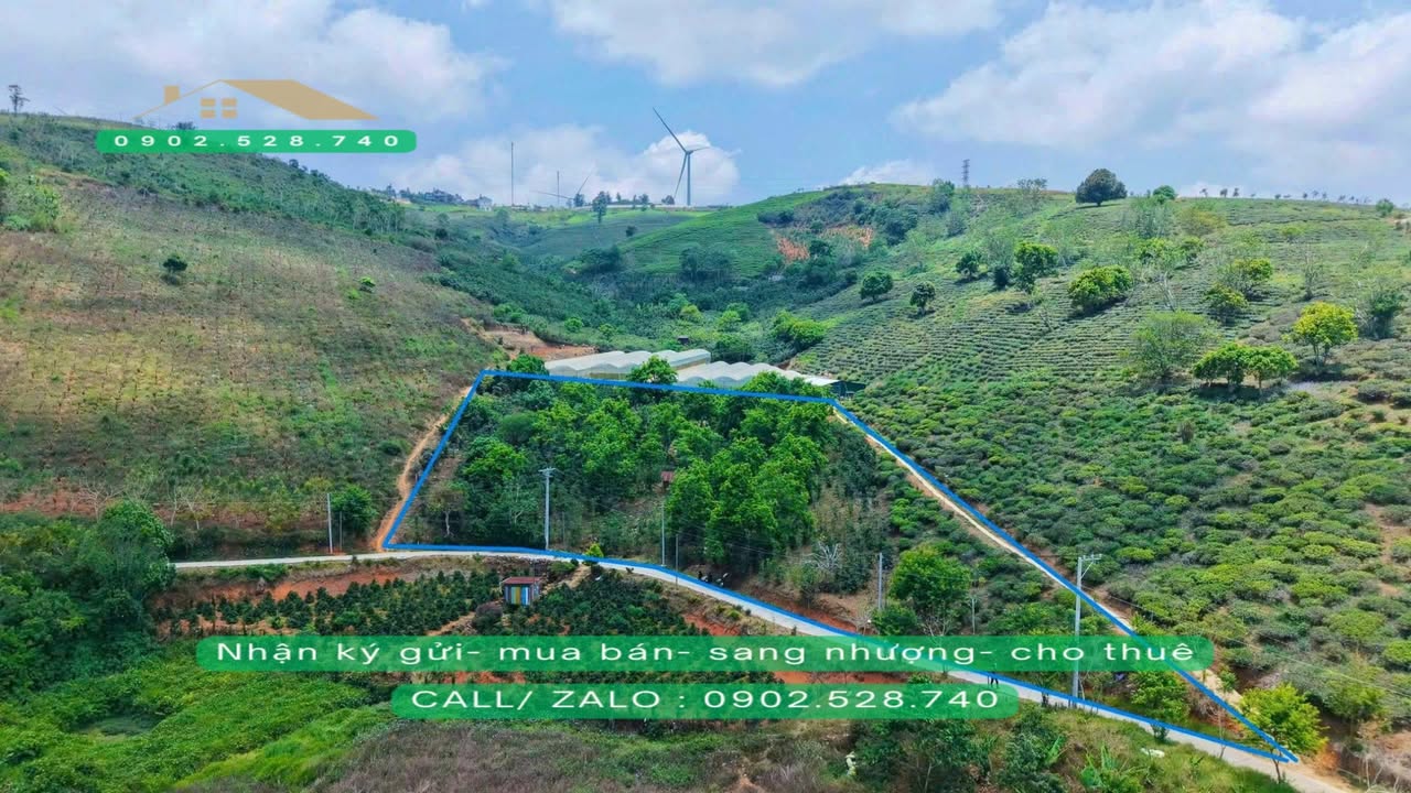 Đất view đẹp 5200m² tại KDL Đồi Chè Cầu Đất Đà Lạt - Đầu tư lý tưởng chỉ 10 tỷ!