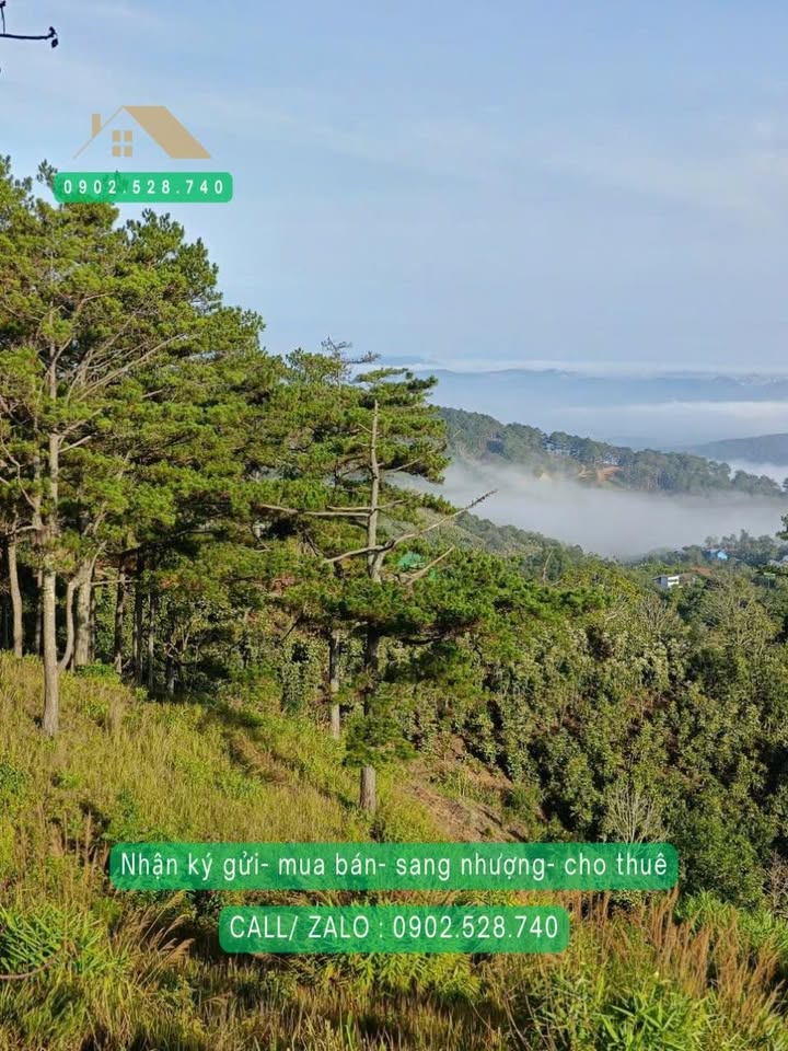 Đất Đỉnh Đồi Săn Mây Xuân Trường Đà Lạt 7500m² giá 19 tỷ - View cực đẹp!