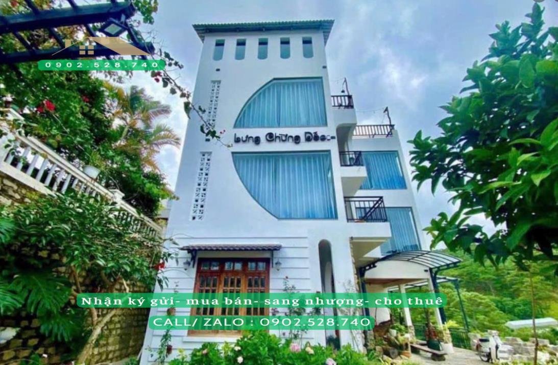 Homestay view rừng thông phường 10 Đà Lạt 250m² giá 15 tỷ - Tiềm năng tăng giá mạnh!