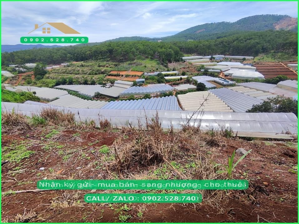 Đất nông nghiệp 4.191m² Xuân Thọ Đà Lạt - View thung lũng tuyệt đẹp, giá chỉ 8.382 tỷ!