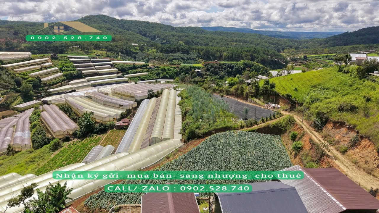 Bán đất Đà Lạt 1.394m² - View đẹp, 4.5 tỷ, sổ đỏ chính chủ!