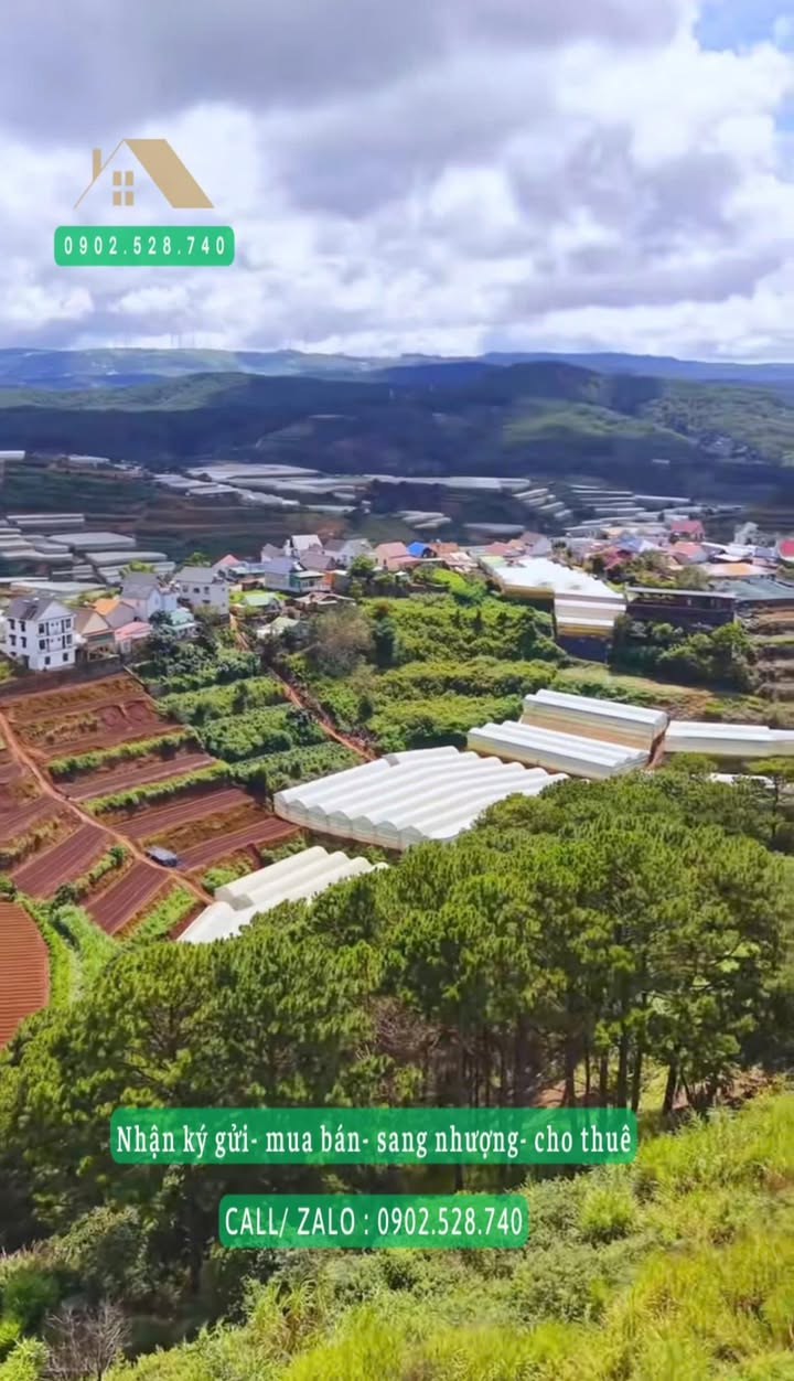 Đất nông nghiệp 3000m² tại Xuân Thọ Đà Lạt - View đẹp, cho thuê chỉ 15 triệu!