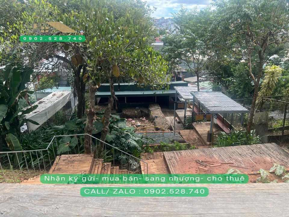 Cho thuê mặt bằng mặt tiền Phạm Ngọc Thạch Đà Lạt 600m² - Kinh doanh đa ngành nghề