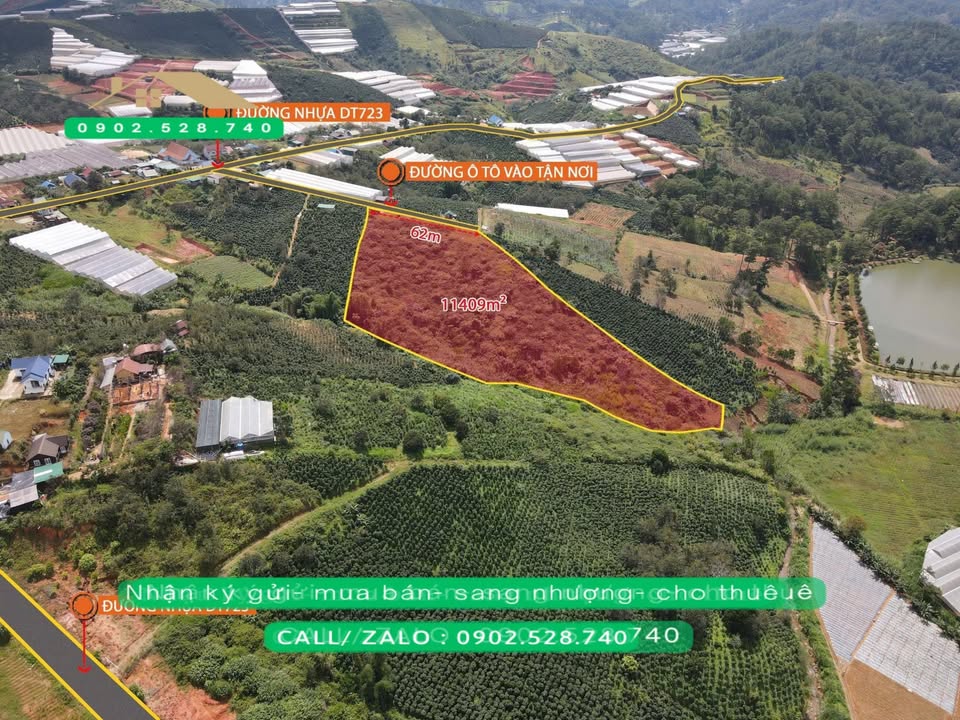 Đất nền 11.460m² xã Đa Sar, Lạc Dương giá 14.898 tỷ - View rừng thông tuyệt đẹp!