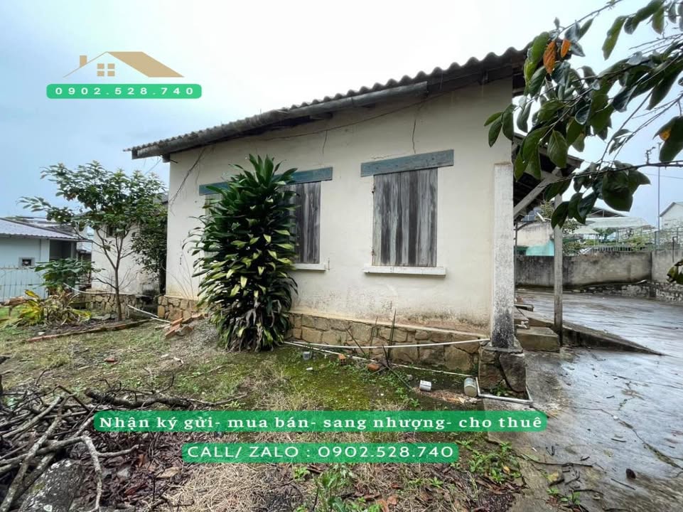 Đất mặt tiền Yersin, Phường 9, Đà Lạt 520m² giá 41 tỷ - Vị trí kinh doanh đắc địa!